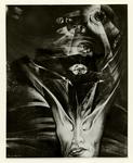 Giacomelli , s.v.