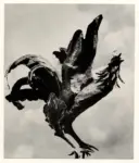 Anonimo ; Anonimo , s.v.