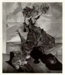 Melli, Roberto , Una foglia