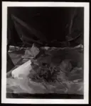 Melli, Roberto , Viola e argento