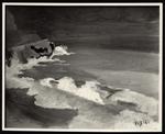 Melli, Roberto , Mare a Celle Ligure