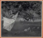 Anonimo ; Anonimo , s.v.