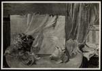 Menzio, Francesco , Fiori e conchiglie -