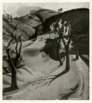 Menzio, Francesco , Primavera in montagna