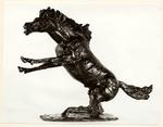 Messina, Francesco , Cavallo imbizzarrito