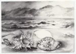 Micarelli, Lia , Conchiglie sulla riva del mare