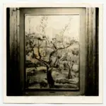 Micarelli, Lia , Alberi