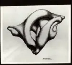 Minassian, Leone , Sviluppo di forme