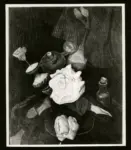 Minassian, Leone , La conchiglia bianca