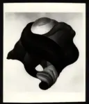 Minassian, Leone , Il frutto rosso