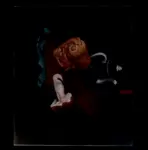 Minassian, Leone , Il pane di campagna