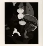 Minassian, Leone , Il ventaglio giapponese