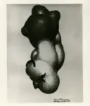 Minassian, Leone , Forme astratte