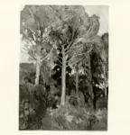 Moggioli, Umberto , Pini a Villa Strohlfern