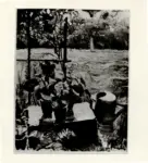 Moggioli, Umberto , Fiori sotto la pioggia