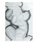 Anonimo ; Anonimo , s.v.