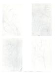 Modigliani, Amedeo , Fuor drawings