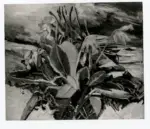 Anonimo ; Anonimo , s.v.