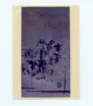 Anonimo ; Anonimo , s.v.