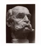 Monteconi, Mario , Testa