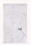 Modigliani, Amedeo , Ritratto di signora con cappello