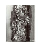Morlotti, Ennio , Vegetazione -