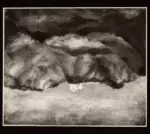 Anonimo ; Anonimo , s.v.