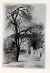 Mucchi, Gabriele , Alberi a Praga