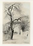 Mucchi, Gabriele , Alberi a Praga