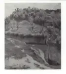 Nardi, Antonio , Collina veronese -