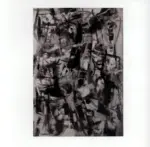 Navarrini, Navarrino , La siepe