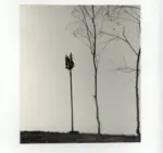 Negri, Mario , Colonna della regina