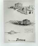 Nivola, Costantino , Disegno