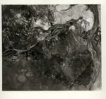 Anonimo ; Anonimo , Nomellini, Plinio - sec. XX -