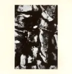 Nuti, Mario , Composizione -