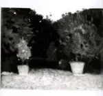 Olivari, Eugenio , Il giardino