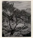 Oppi, Ubaldo , Paesaggio di montagna con chiesa gotica