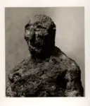 Paganin, Giovanni , Figura