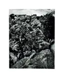 Pasinetti Nei, Giovanni , Case sul poggio