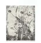 Anonimo ; Anonimo , s.v.