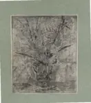 Pelloni, Tino , Fiori nel vaso