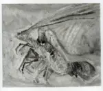 Penagini, Siro , Crostaceo