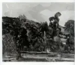 Penagini, Siro , Paesaggio