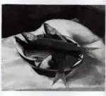 Penagini, Siro , Pesce