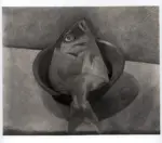 Penagini, Siro , Sarago nel piatto