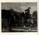 Penagini, Siro , Estate