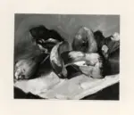 Petrini , Natura morta