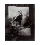 Peverelli, Cesare , L'apertura della caccia -