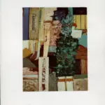 Pinto, Bruno , La piccionaia rosa