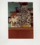 Pinto, Bruno , La piccionaia e fiori d'acacia